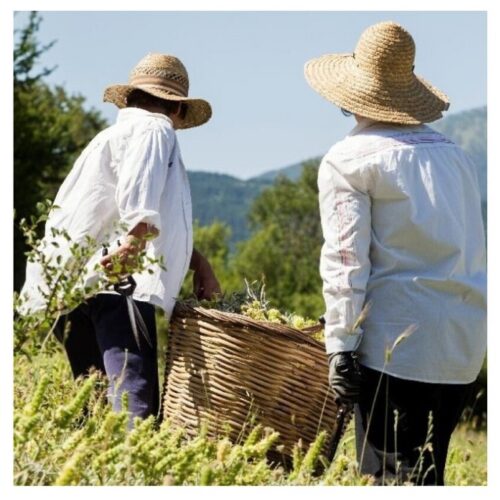 Korres Deep Detox Cleansing Cloths 30 pcs 4 Korres Deep Detox Cleansing Cloths 30 pcs - Image 4