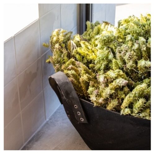 Korres Deep Detox Cleansing Cloths 30 pcs 3 Korres Deep Detox Cleansing Cloths 30 pcs - Image 3